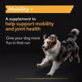 PRO PLAN Sumpliroma Diatrofis Dog Adult Mobility Supplement Skoni 60gr